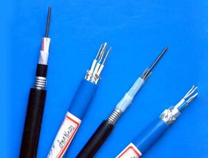 本質安 全電路計算機屏蔽電纜(包括本安用DCS電纜)