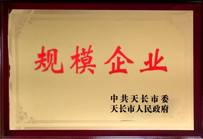 規(guī)模企業(yè)