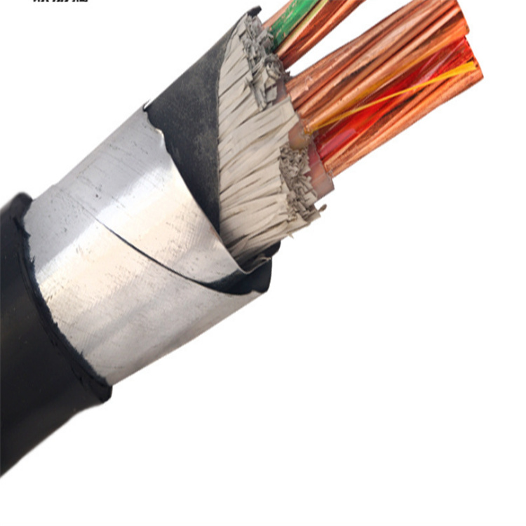 安徽天長市中盛鋼帶鎧裝計(jì)算機(jī)電纜DJYPVP22 1*2*1.0