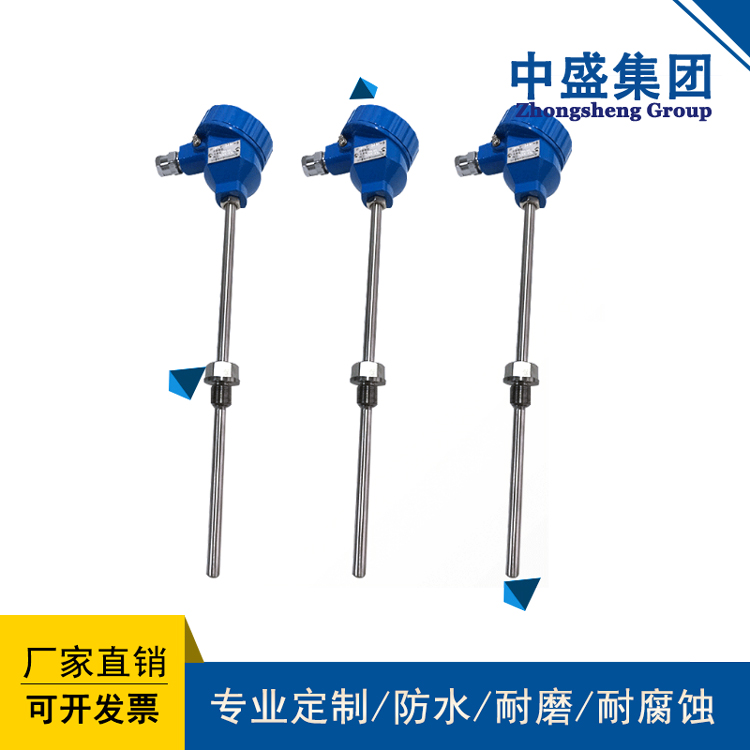 安徽天長儀表中盛儀表鎧裝熱電阻 WZPK-248 L=50mm