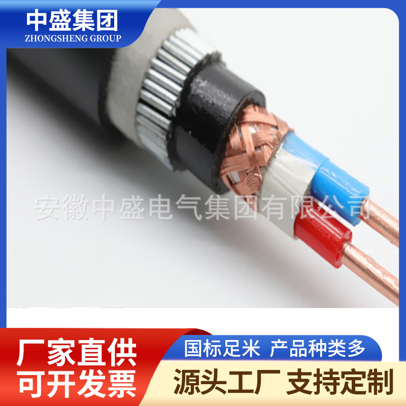 鎧裝計算機電纜DJYJP3YP3-33