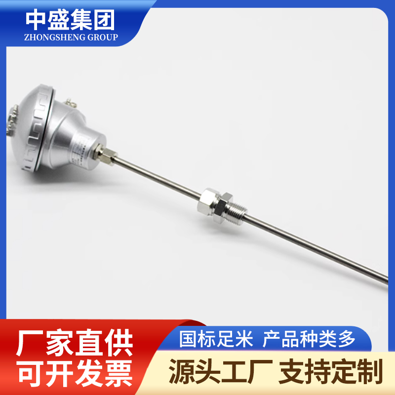 圓接插式鎧裝熱電偶WRPK-161/WRPK2-161