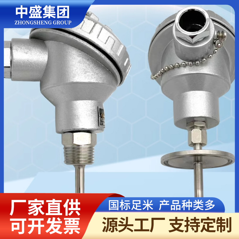 鎧裝熱電偶WRFK-161/WRFK2-161