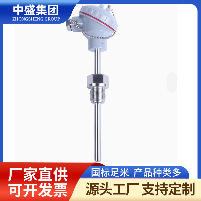 鎧裝熱電偶WREK-261/WREK2-261