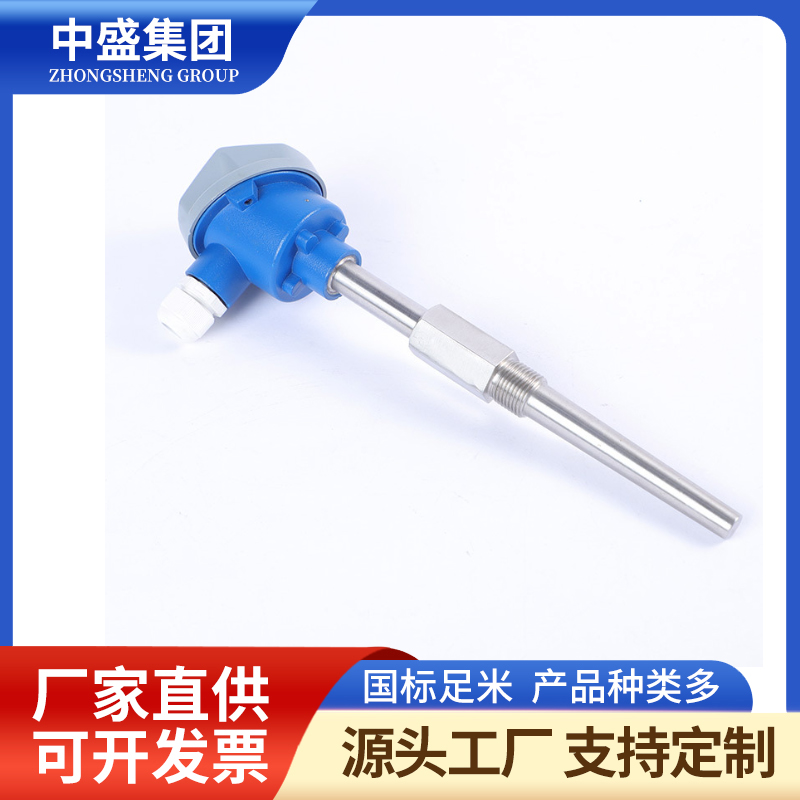 扁接插式鎧裝熱電偶WRNK-171