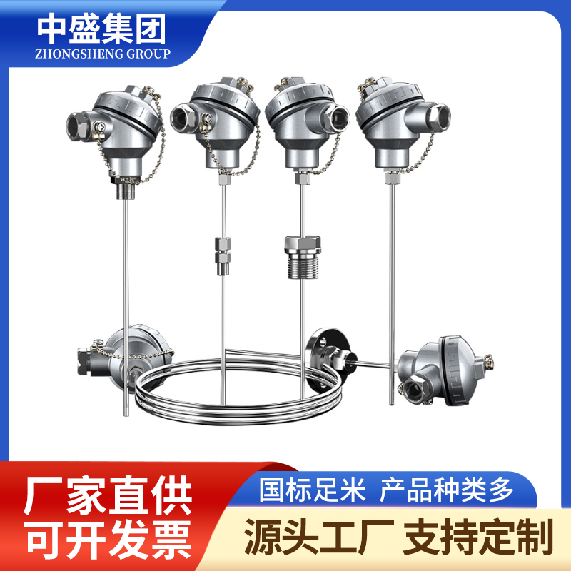 扁接插式鎧裝熱電偶WRNK-271