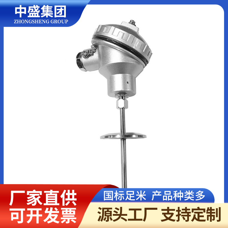 扁接插式鎧裝熱電偶WRNK2-271