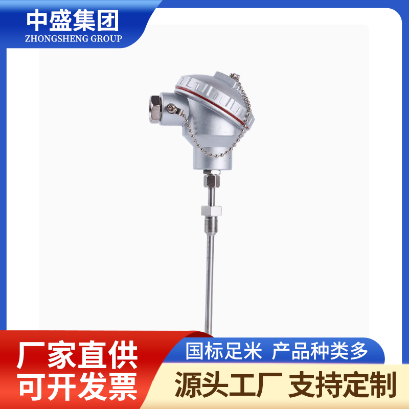 扁接插式鎧裝熱電偶WREK2-471