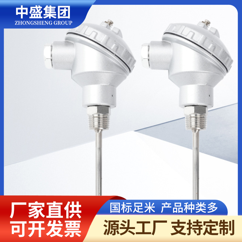扁接插式鎧裝熱電偶WRPK-571