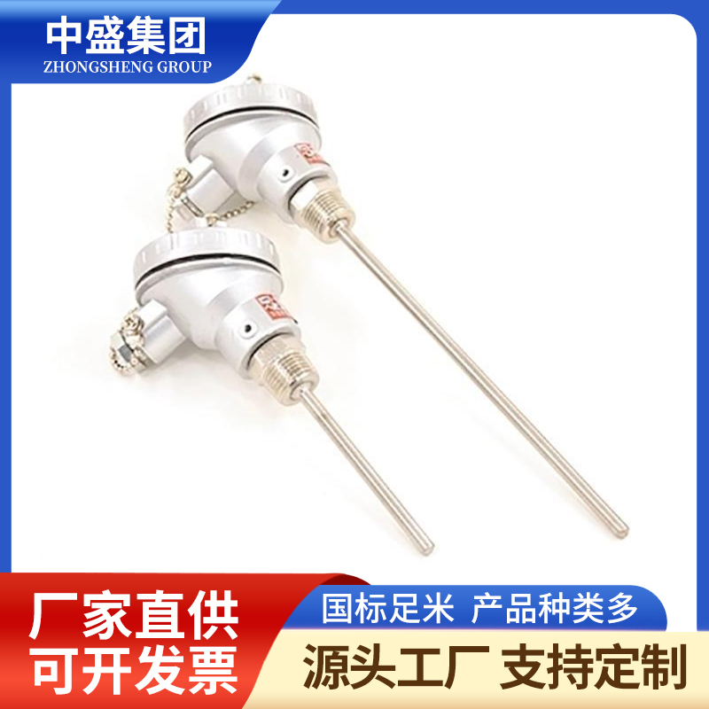 扁接插式鎧裝熱電偶WRNK-571