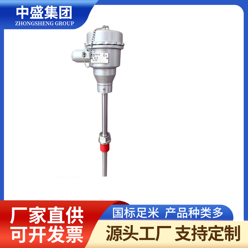 扁接插式鎧裝熱電偶WREK2-571