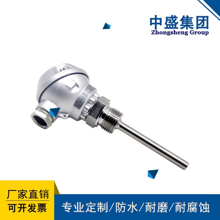 扁接插式鎧裝熱電偶WRCK-571