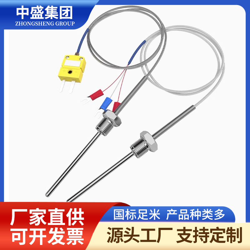 補(bǔ)償導(dǎo)線式鎧裝熱電偶WRNK-591