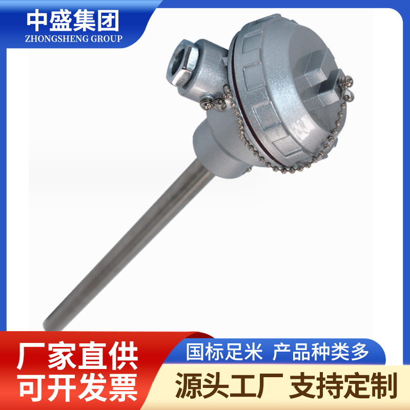 裝配熱電偶WRN-101 WRN2-101