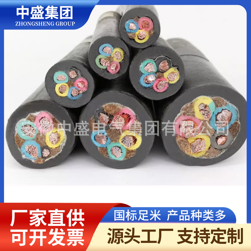 耐高溫變頻電力電纜HYBPGVF-P2R