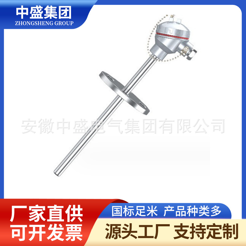 活動(dòng)法蘭式熱電偶WRM-331G WRM2-331G