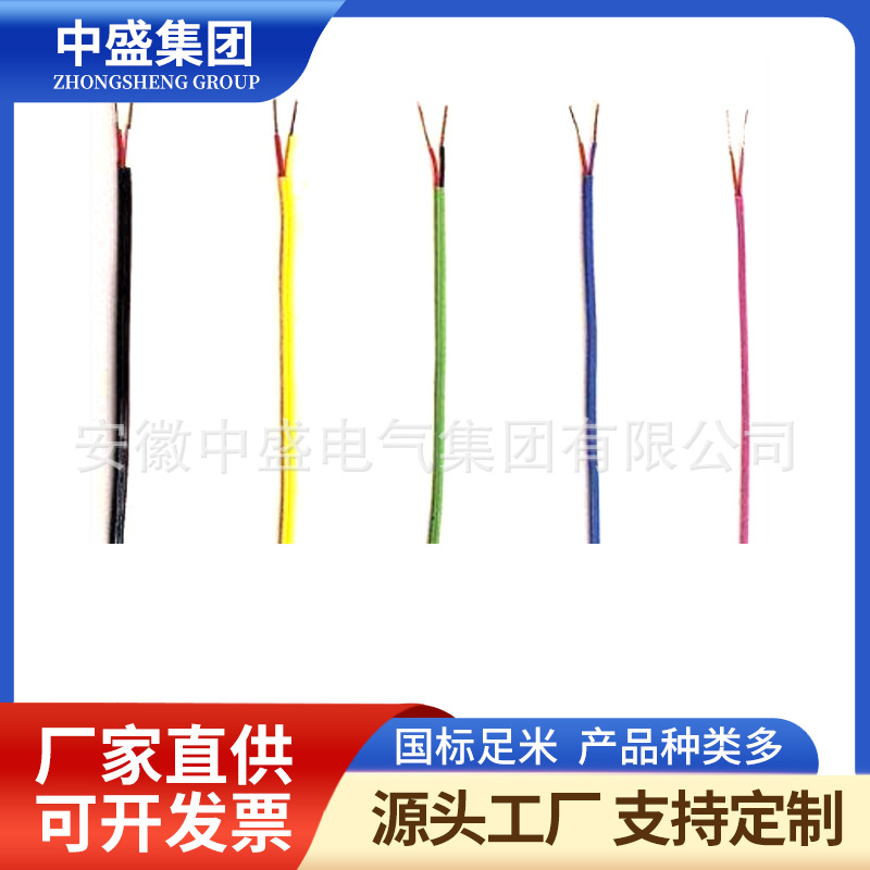 B型溫度補償導線BC-HS-VVP